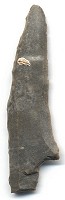 Restos prehistóricos